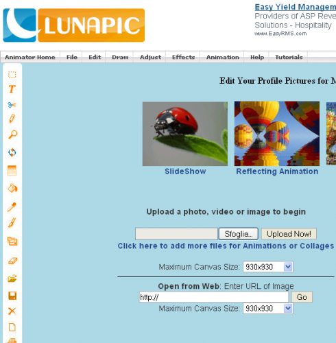 lunapic.png