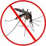 anti-mosquito_8.jpg